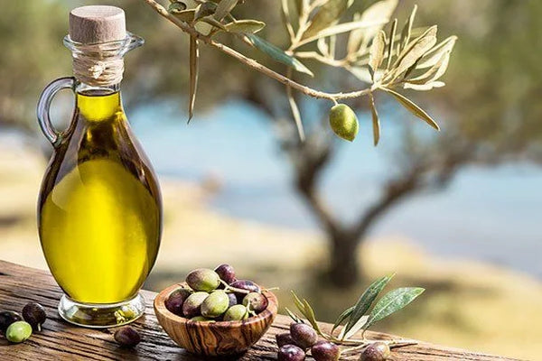 Nutrients and Olive Oil